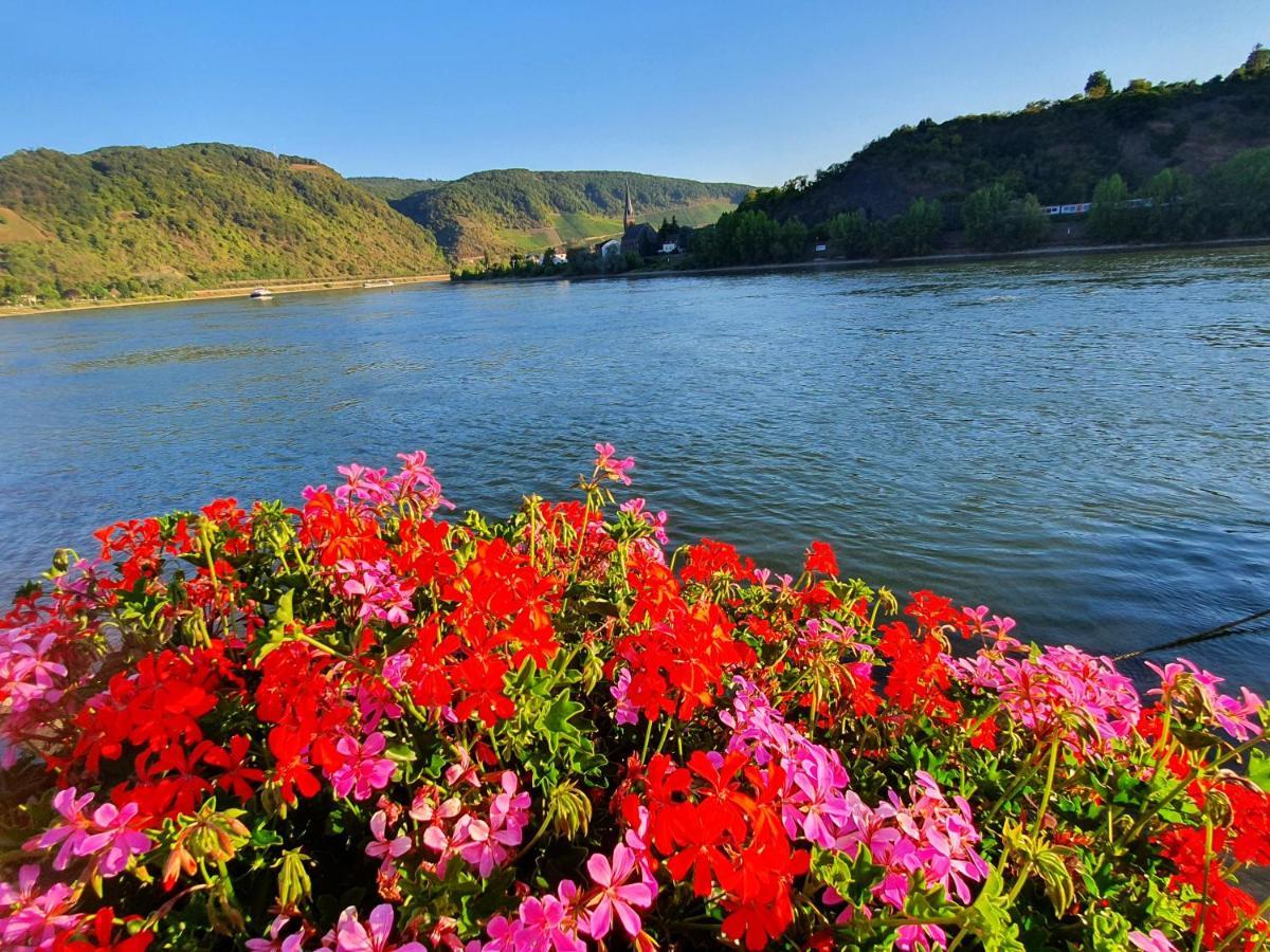 Grosse Wohnung Mit Rheinblick 보파르트 외부 사진